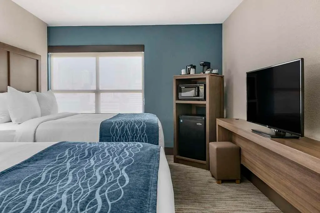 Comfort & Downtown Brickell-port Of Hotel
