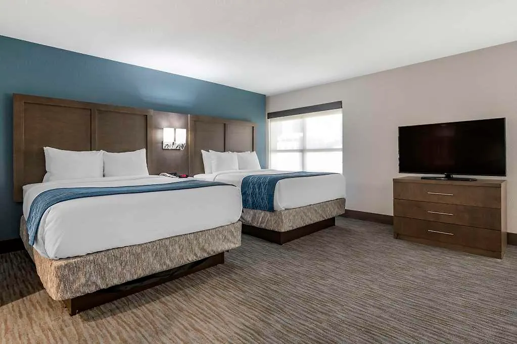 Comfort & Downtown Brickell-port Of Hotel