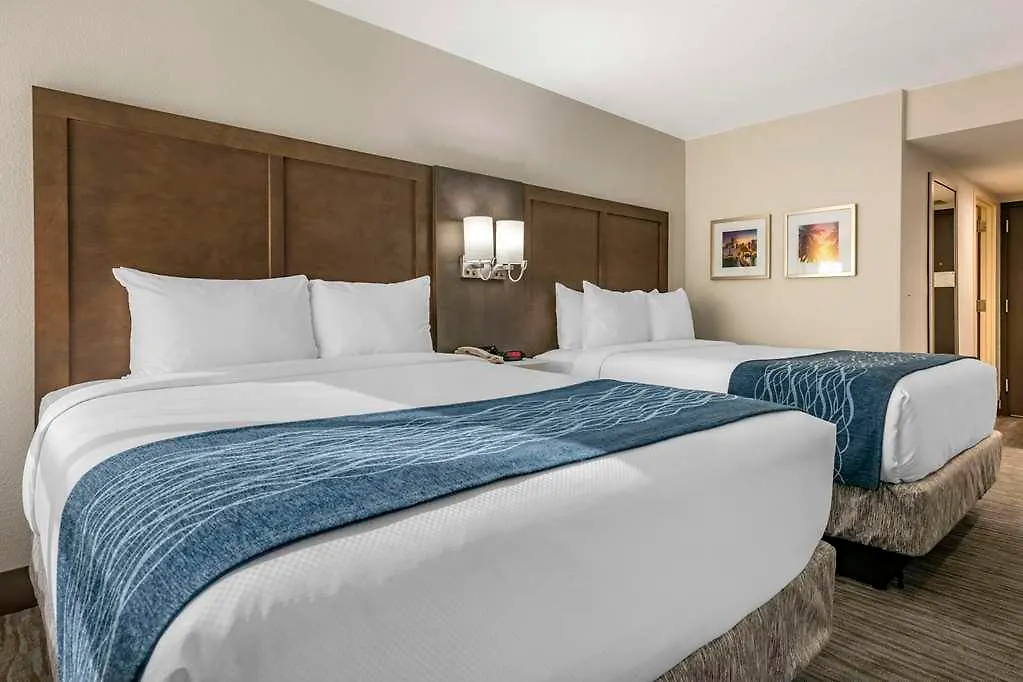 Comfort & Downtown Brickell-port Of *