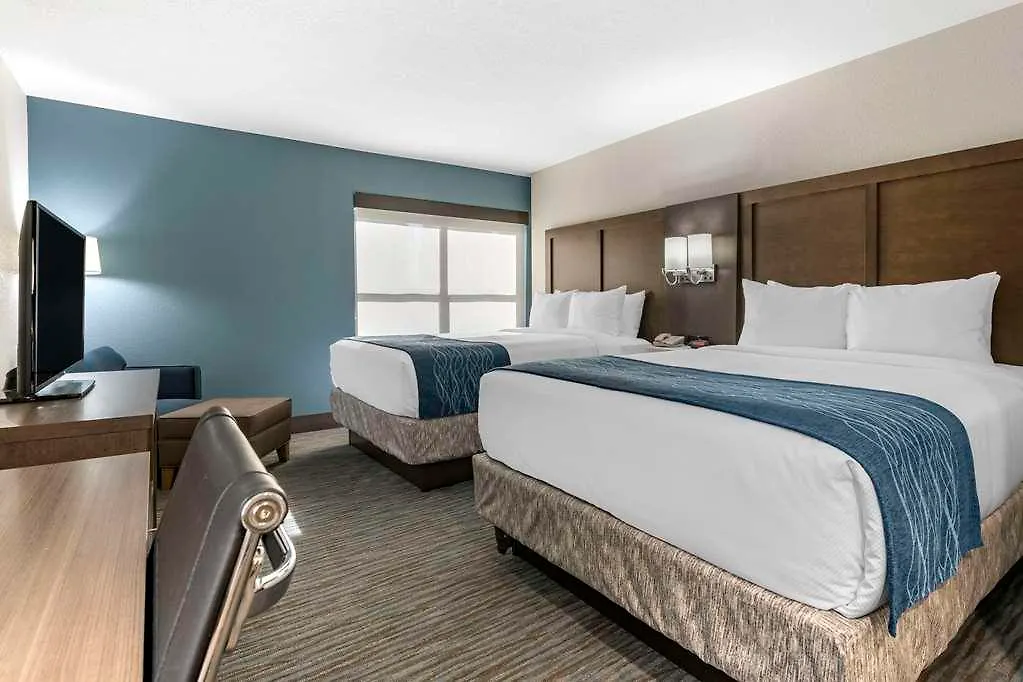 Comfort & Downtown Brickell-port Of * Miami