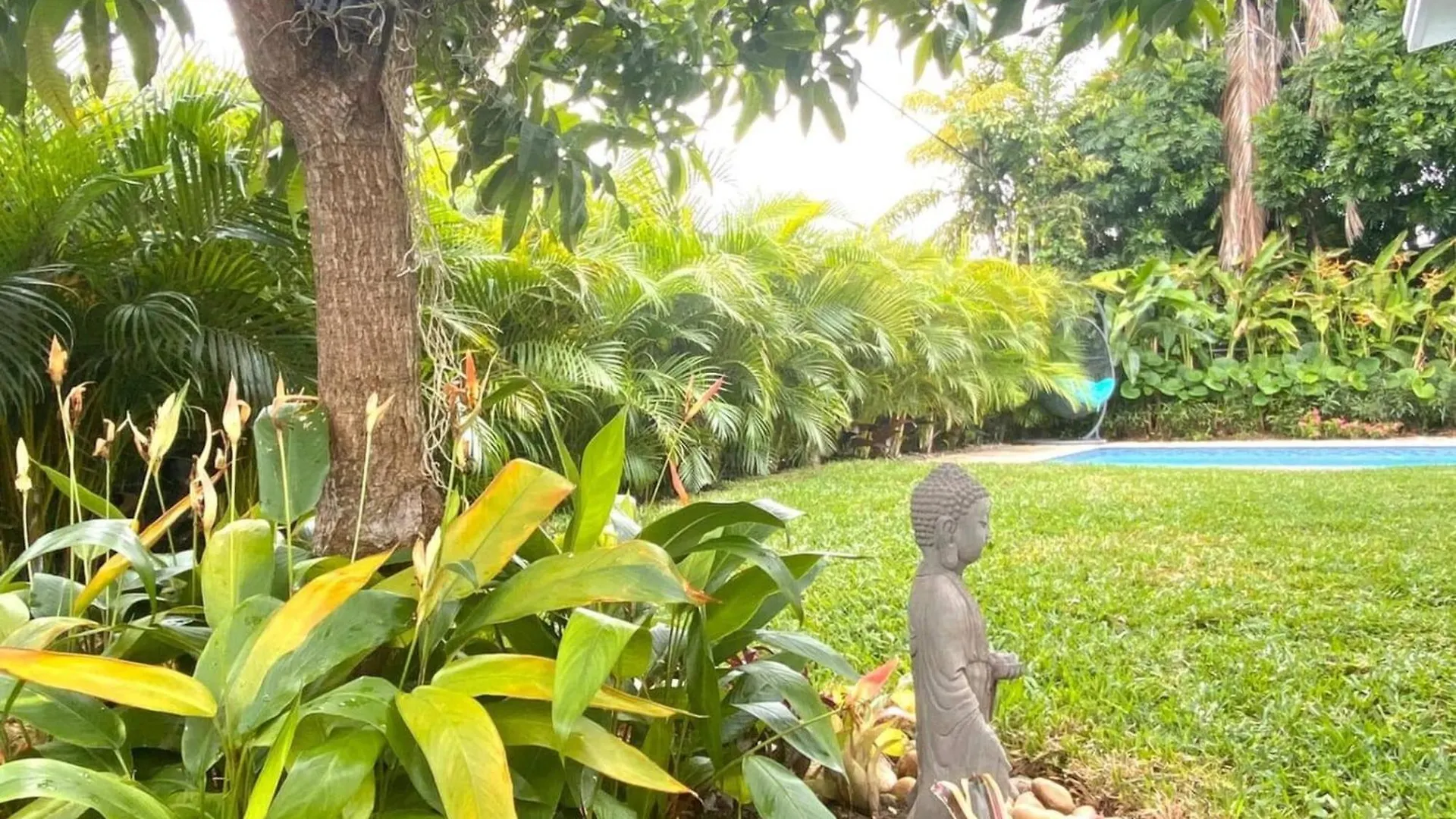 Casa vacanze Experience Magic: Tropical Pool Escape *