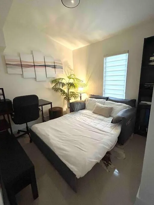 Modern W Jacuzzi Near Wynwood-design District-mia Airport Vakantiehuis Miami