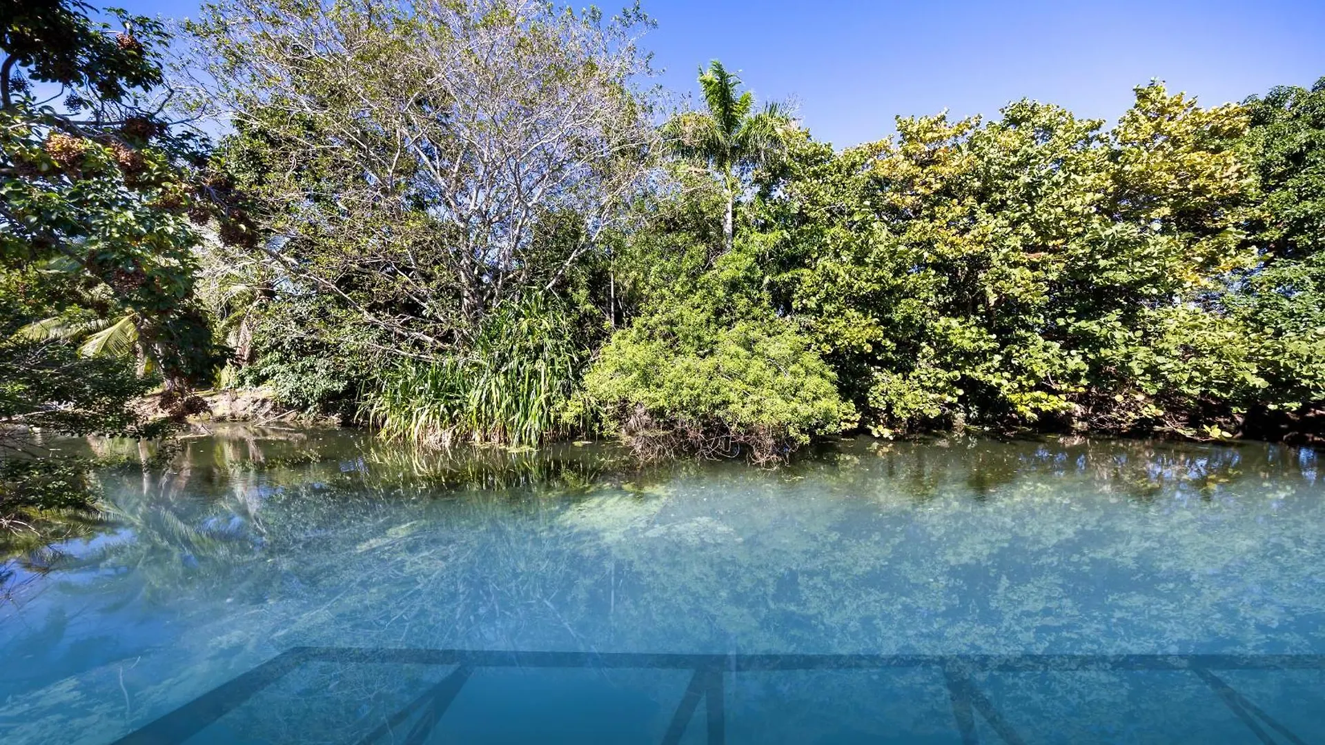 Tropical Dream House With Private Pool And 别墅 *