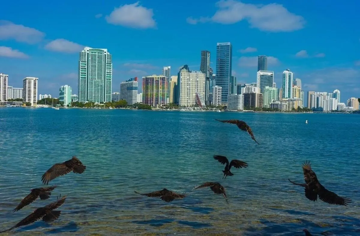 Oasis By Brickell And Beaches