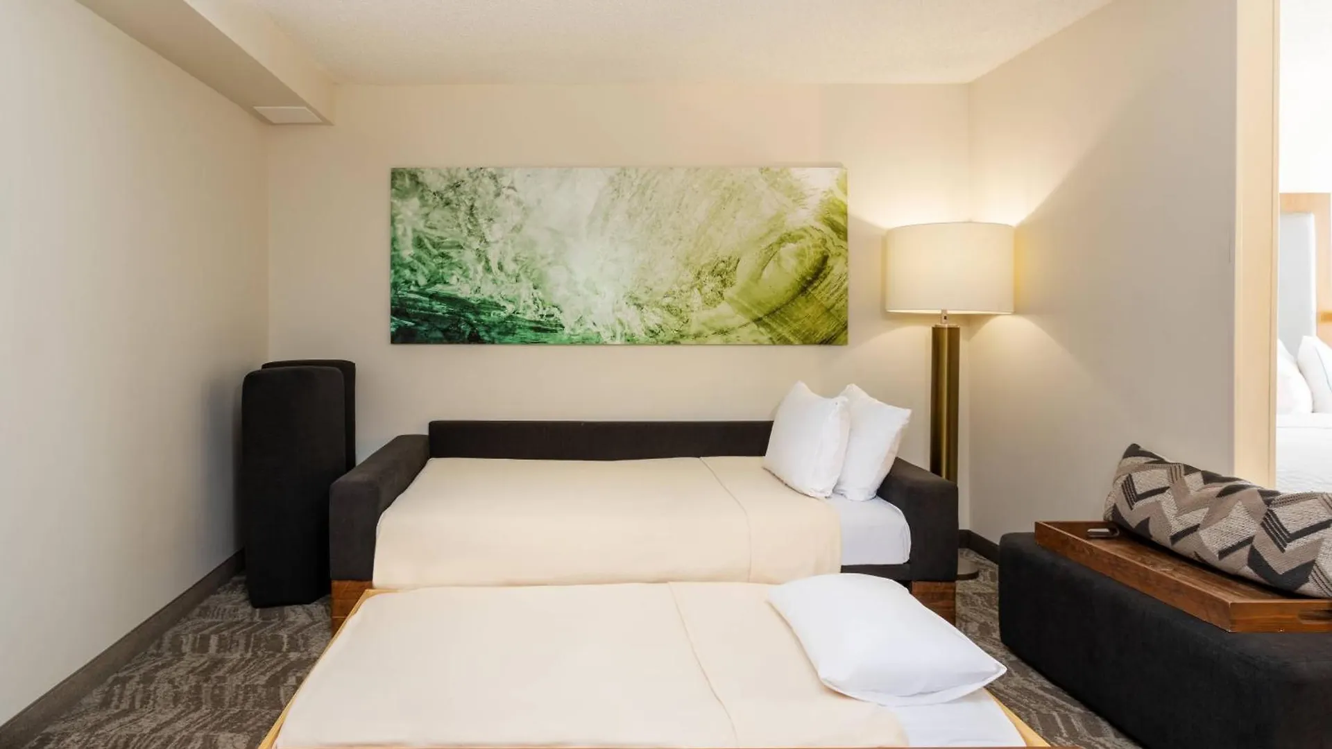 Hotel Springhill By Marriott Airport South Blue Lagoon Area