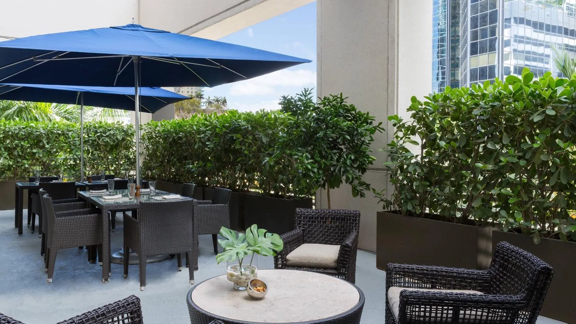 Hotel Jw Marriott Miami