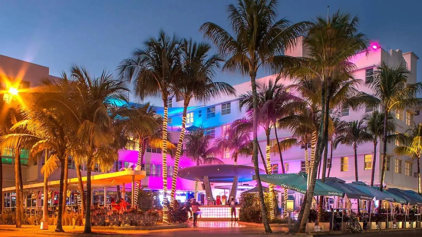 International - Airport - Downtown- Wynwood - Little Havana Women Only - Men Only - No Mix Dorms Vandrerhjem