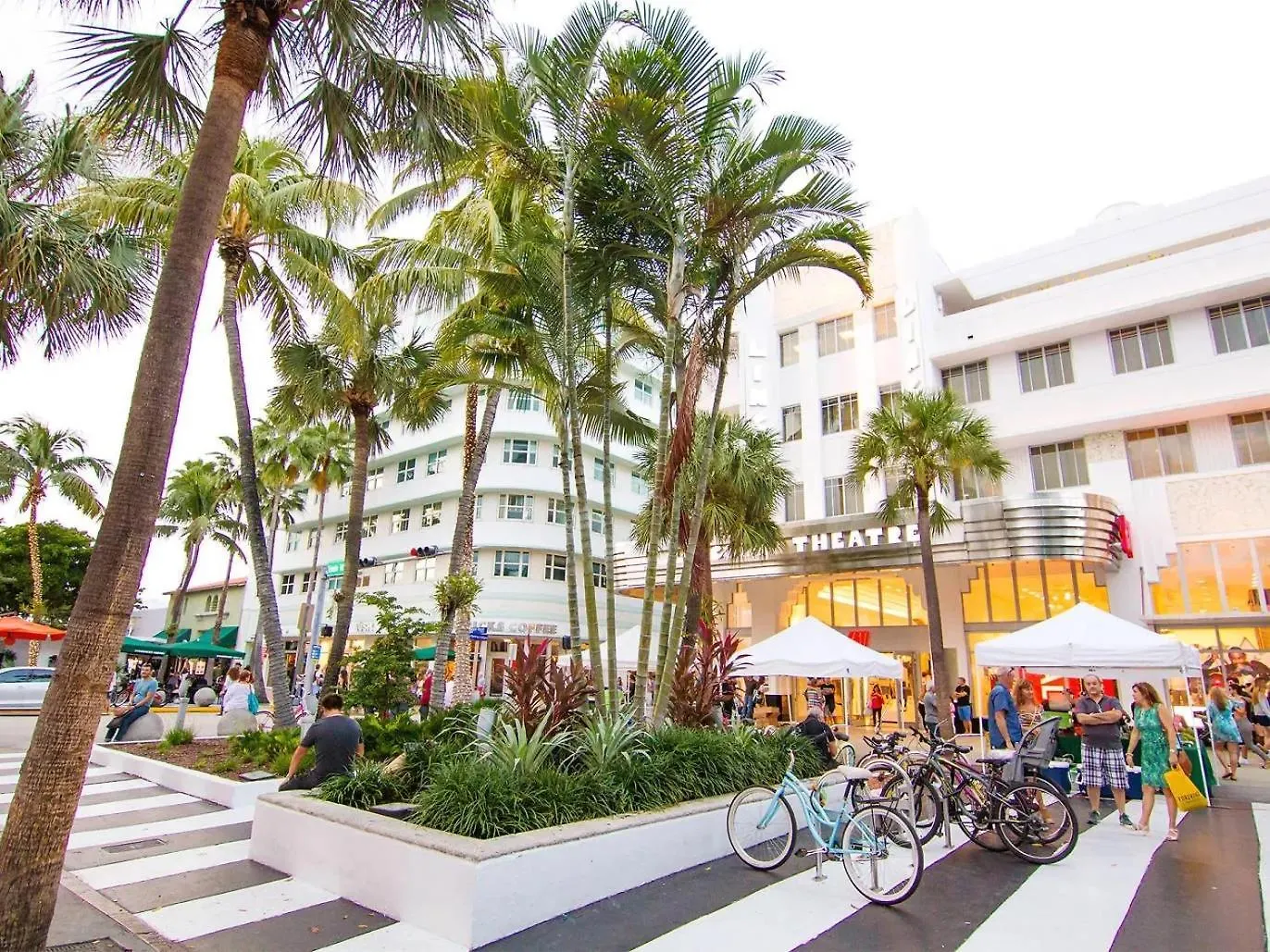 International - Airport - Downtown- Wynwood - Little Havana Women Only - Men Only - No Mix Dorms Vandrerhjem *