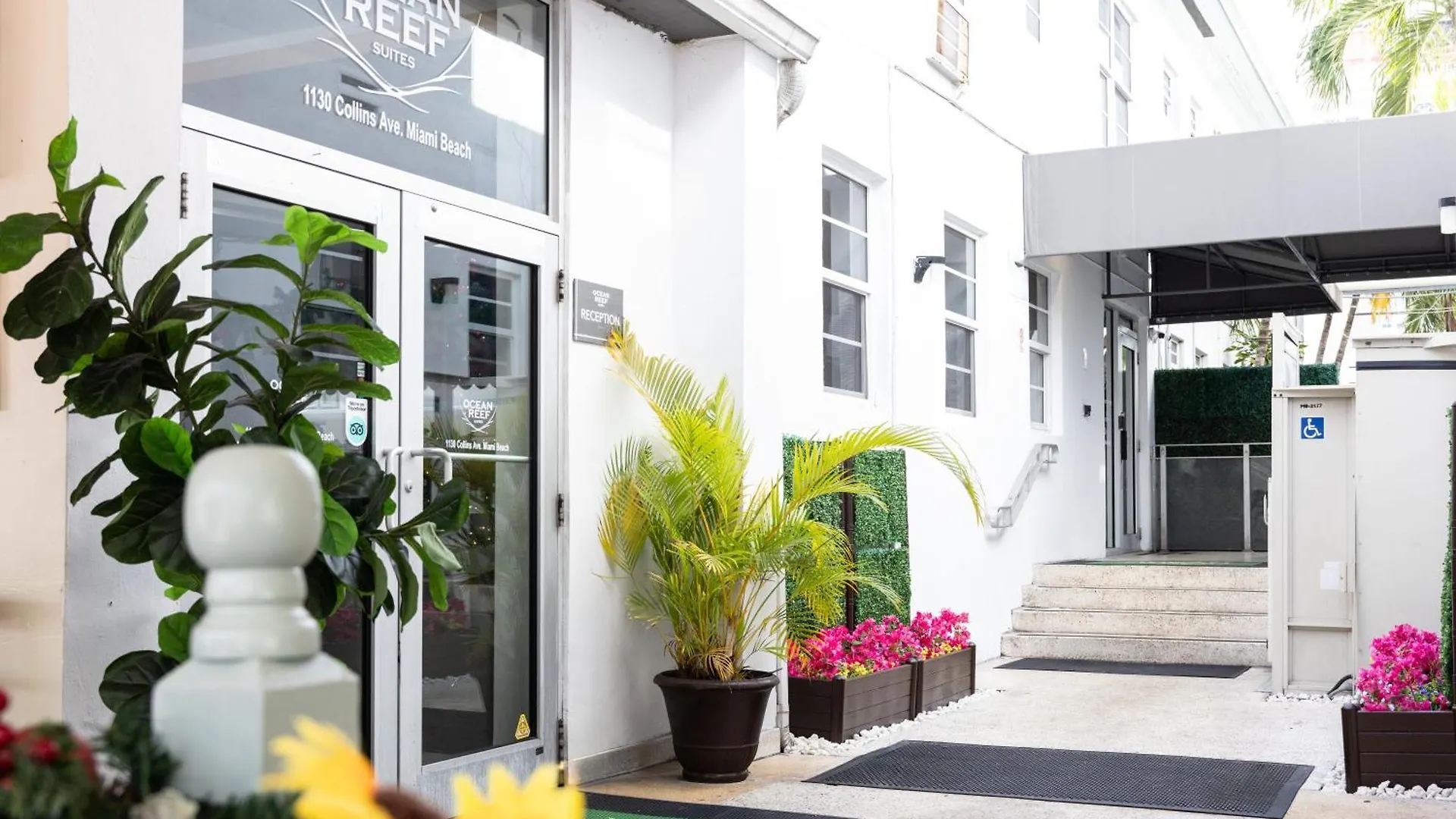 Hotel Ocean Reef 3*