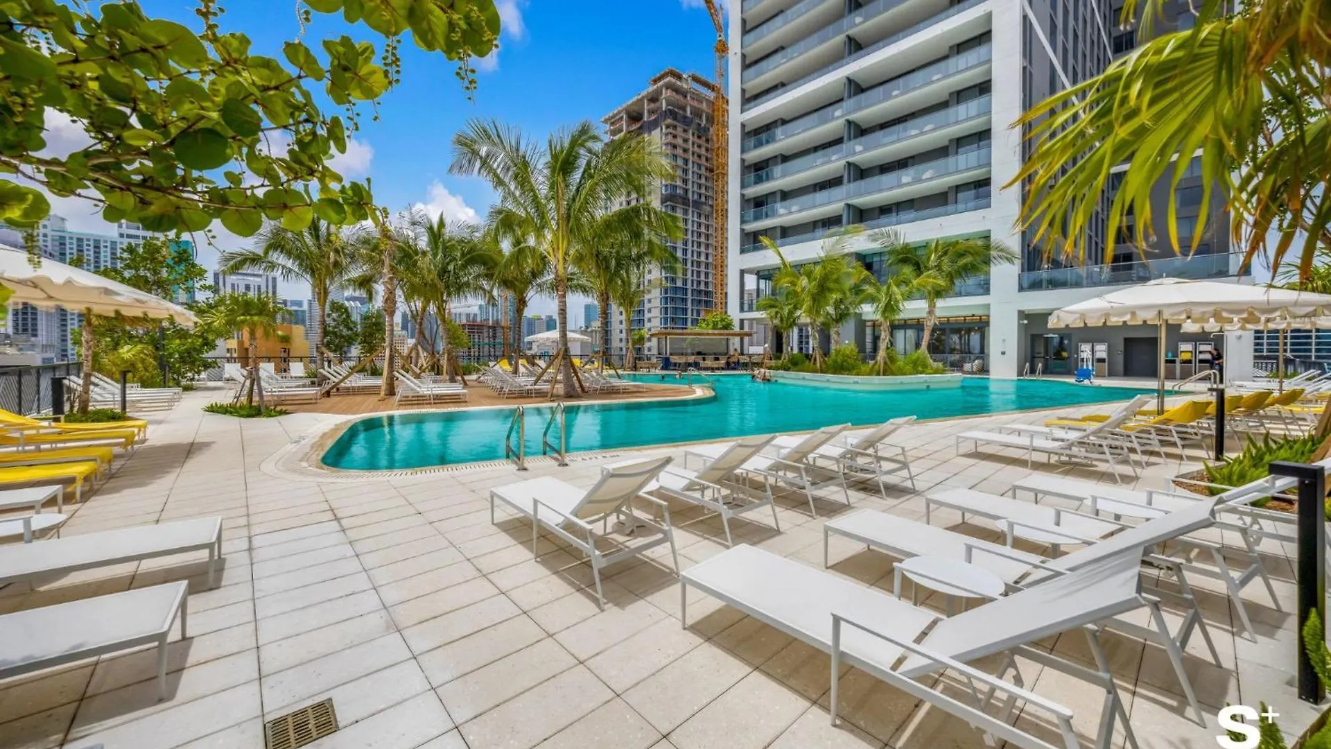 Elegant Downtown Living 1br With Views Apartment *