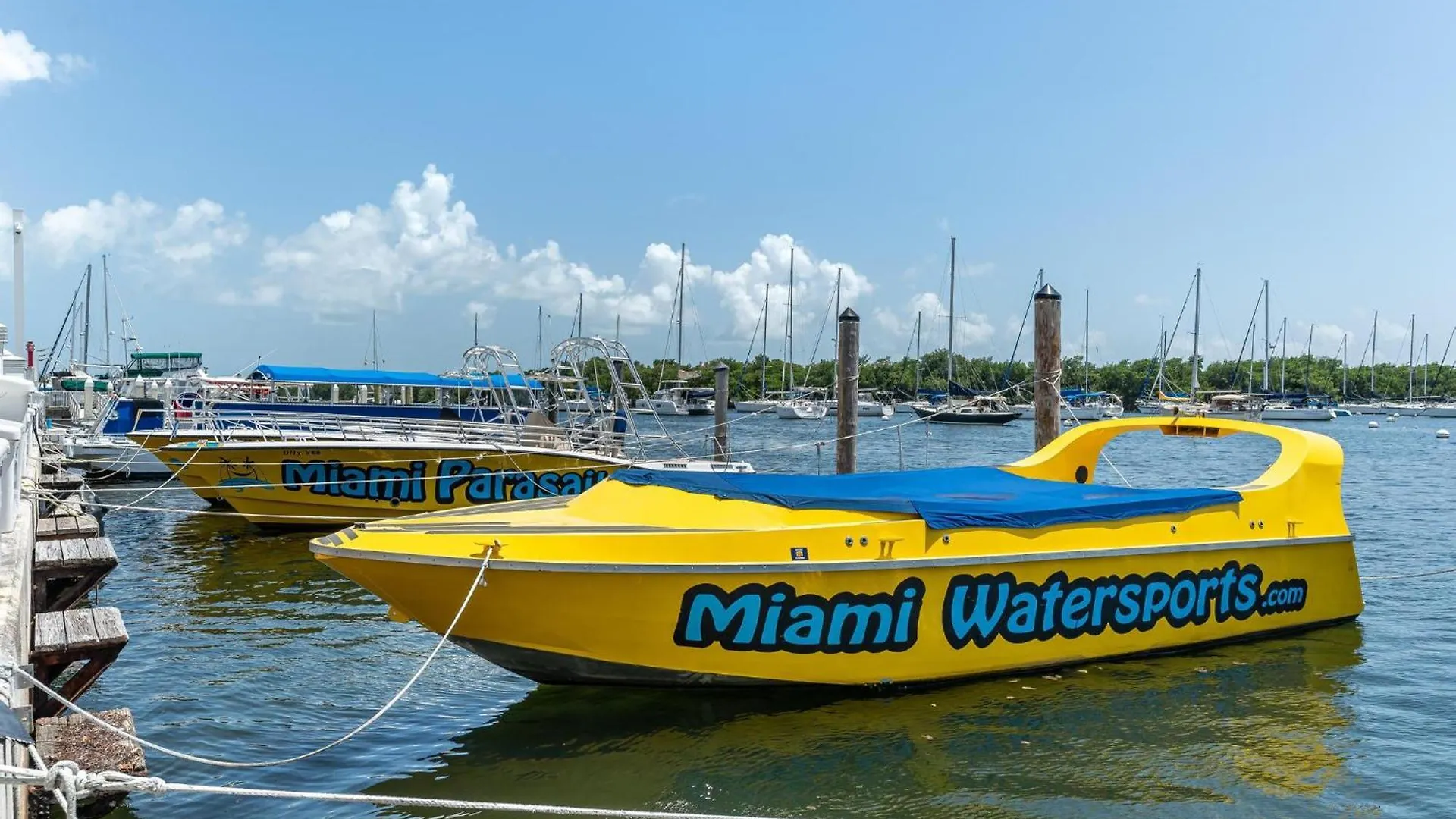 Apartmán Bay View Beauty 1 Bedroom In Coconut Grove Parking Included Miami
