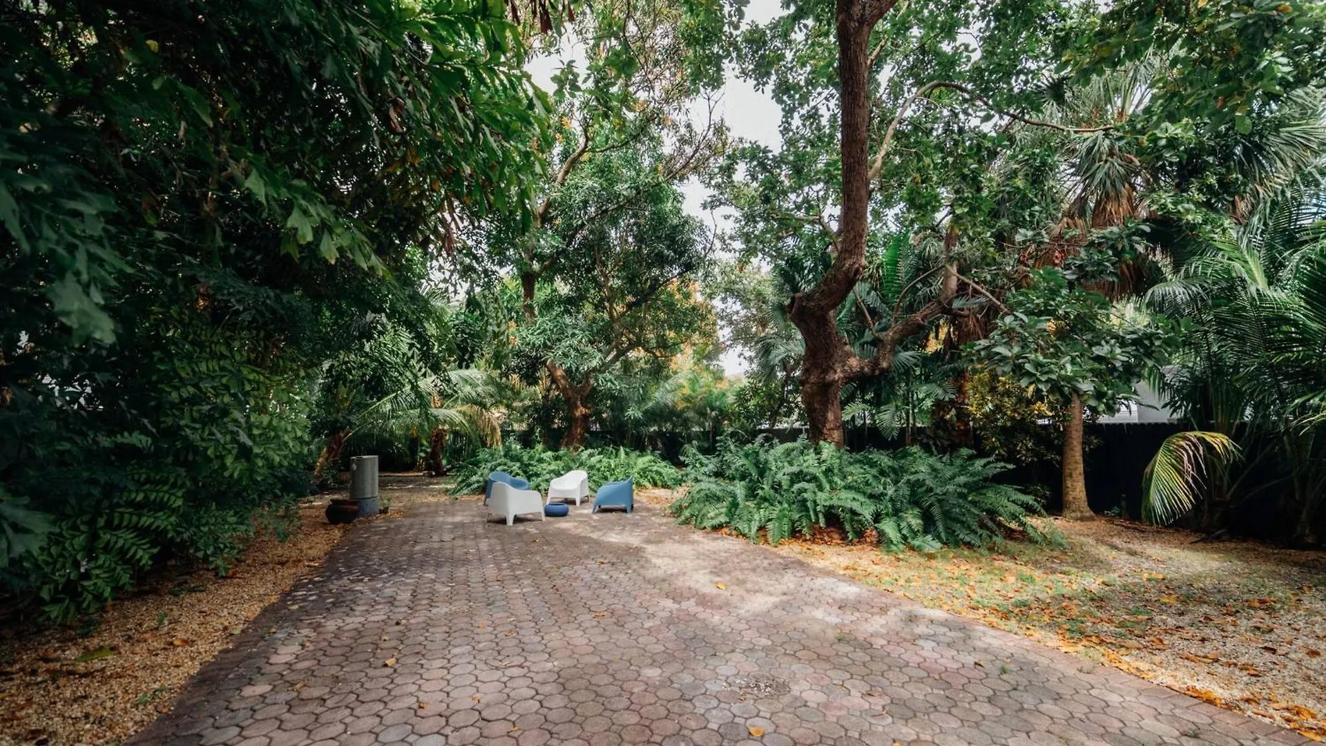 3 Bedroom With Backyard Oasis Miami