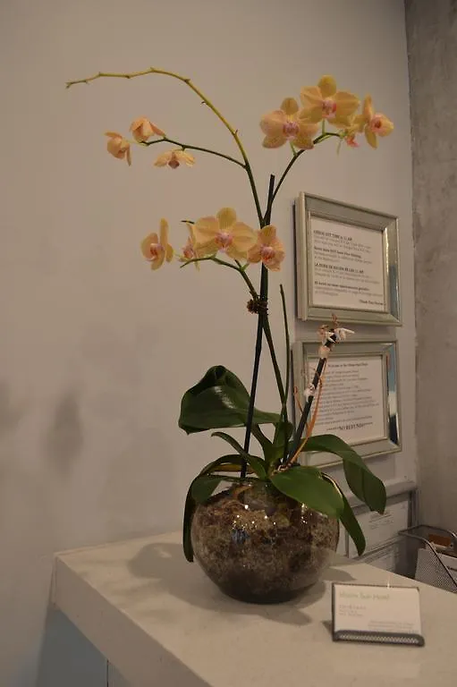 迈阿密太阳酒店（市区/迈阿密港） 酒店 迈阿密
