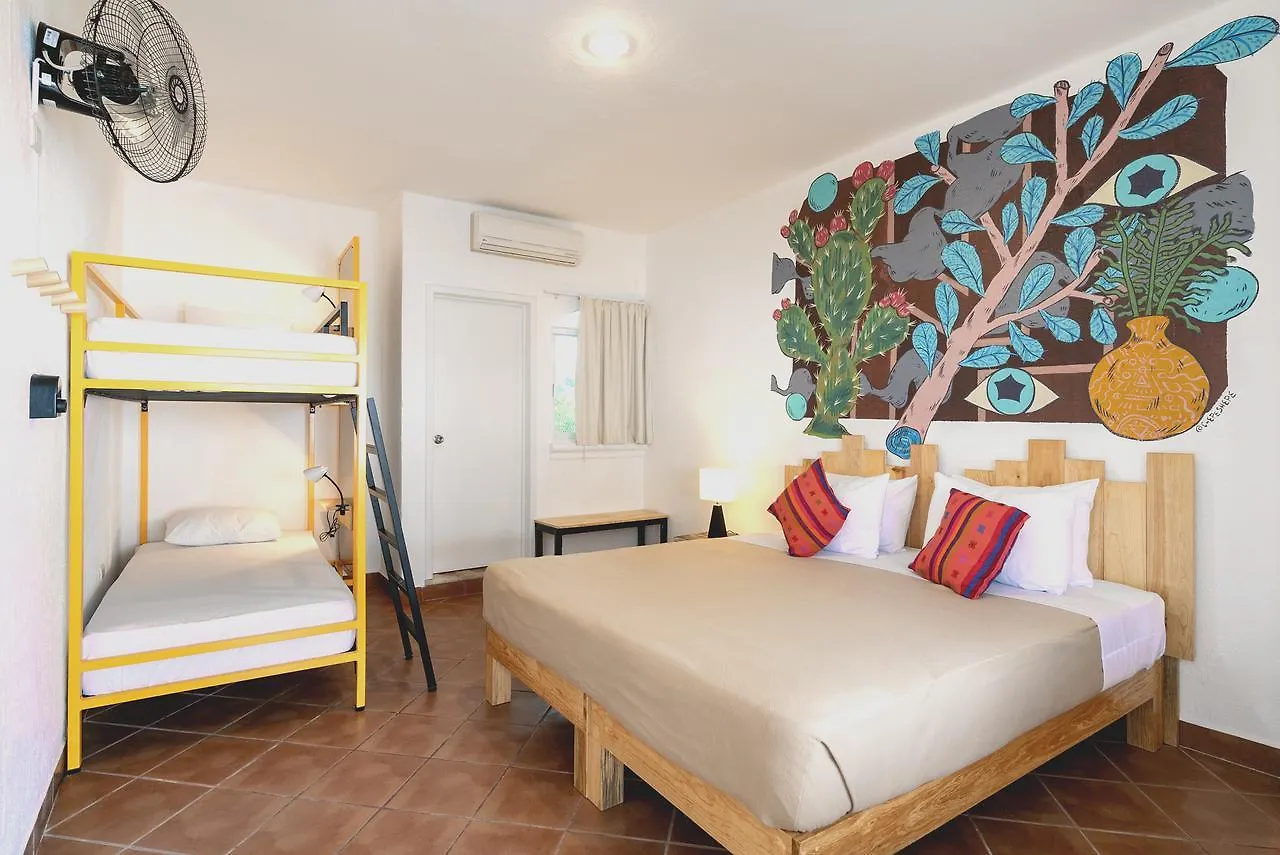 Hostel Selina Little Havana