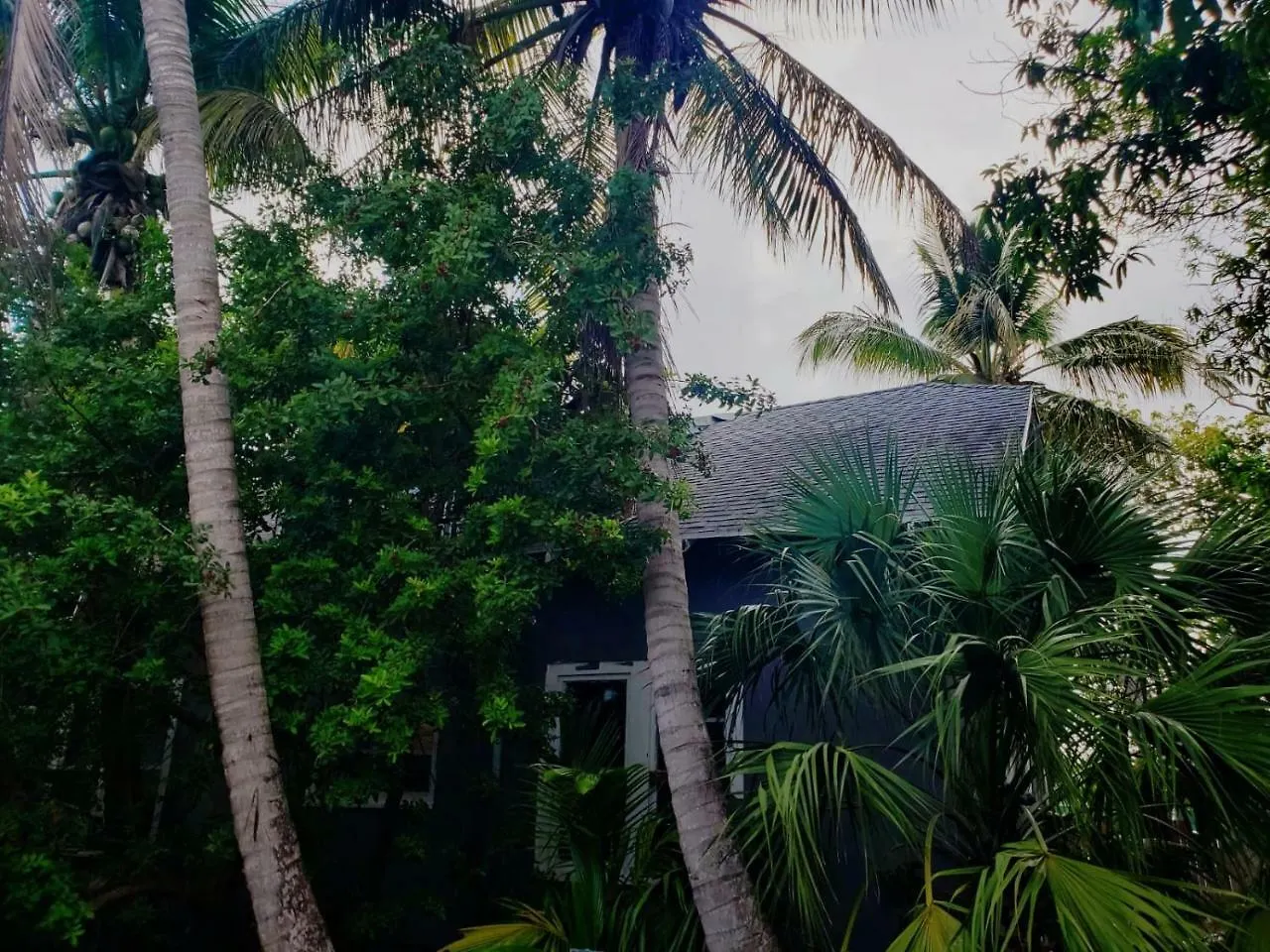 Old House Miami