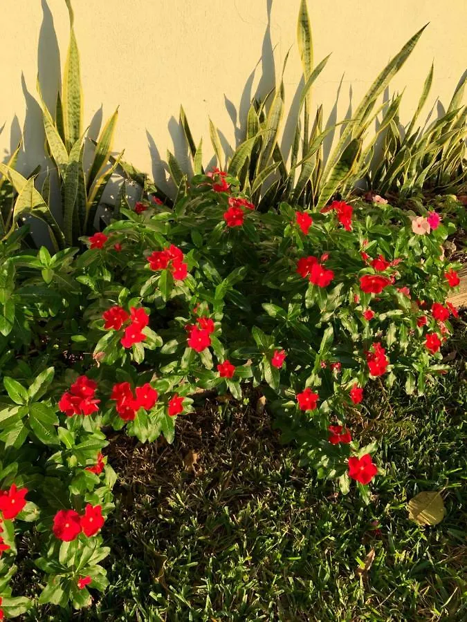 بيت ضيافة Miami Private *