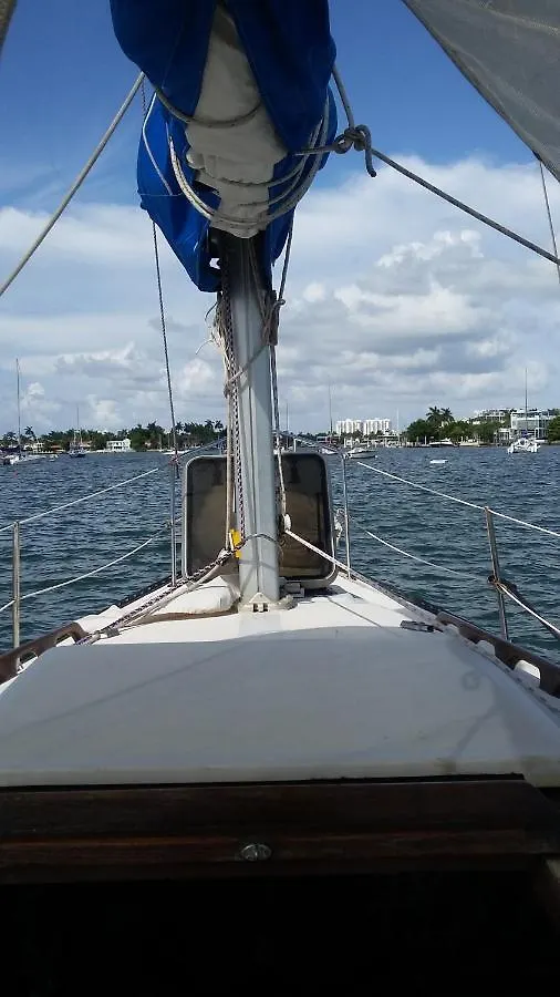 Classic Sailboat 30' *