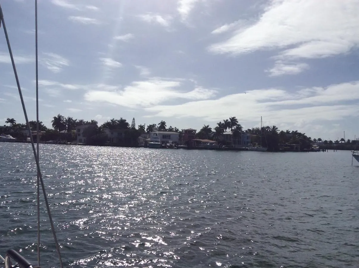 Unique Perspective Botel Miami