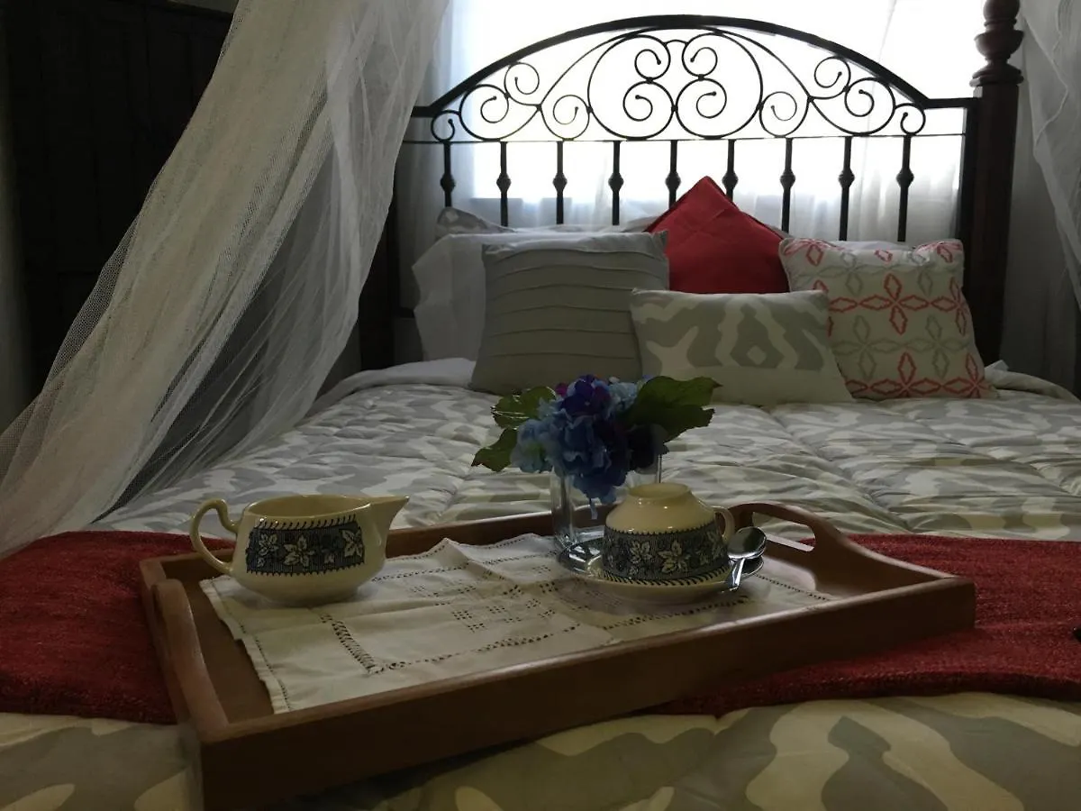 Heavenly In Little Havana Free Parking ميامي