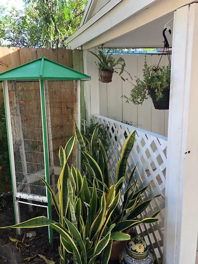 Apartment Independent In Little Havana