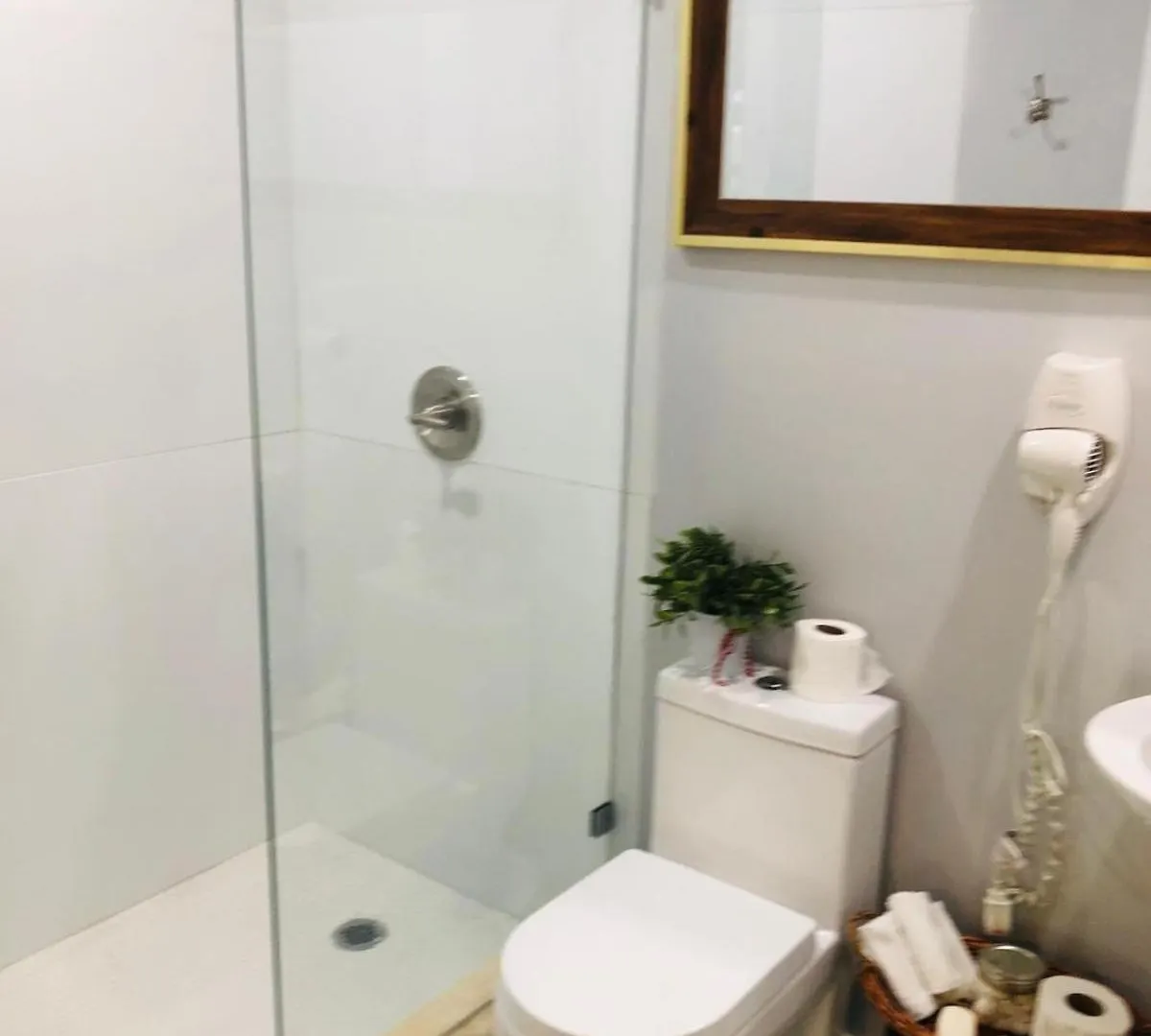 Apartment Independent In Little Havana