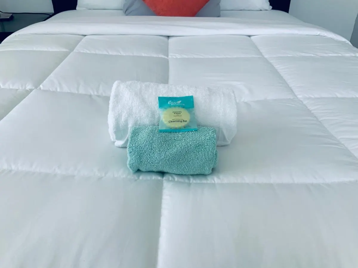 Adorable Private In The Heart Of Miami! Apartment
