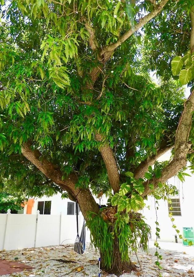 Beautiful Casita With King Bed And Private Patio Close To Calle 8, Mia Airport, Coral Gables Дом отдыха Майами