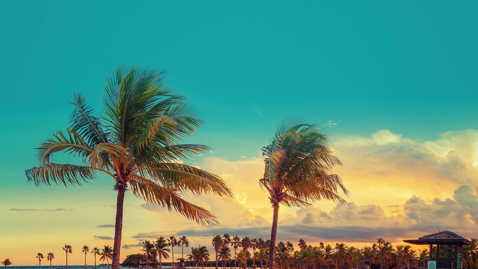 Embassy By Hilton Miami International Airport