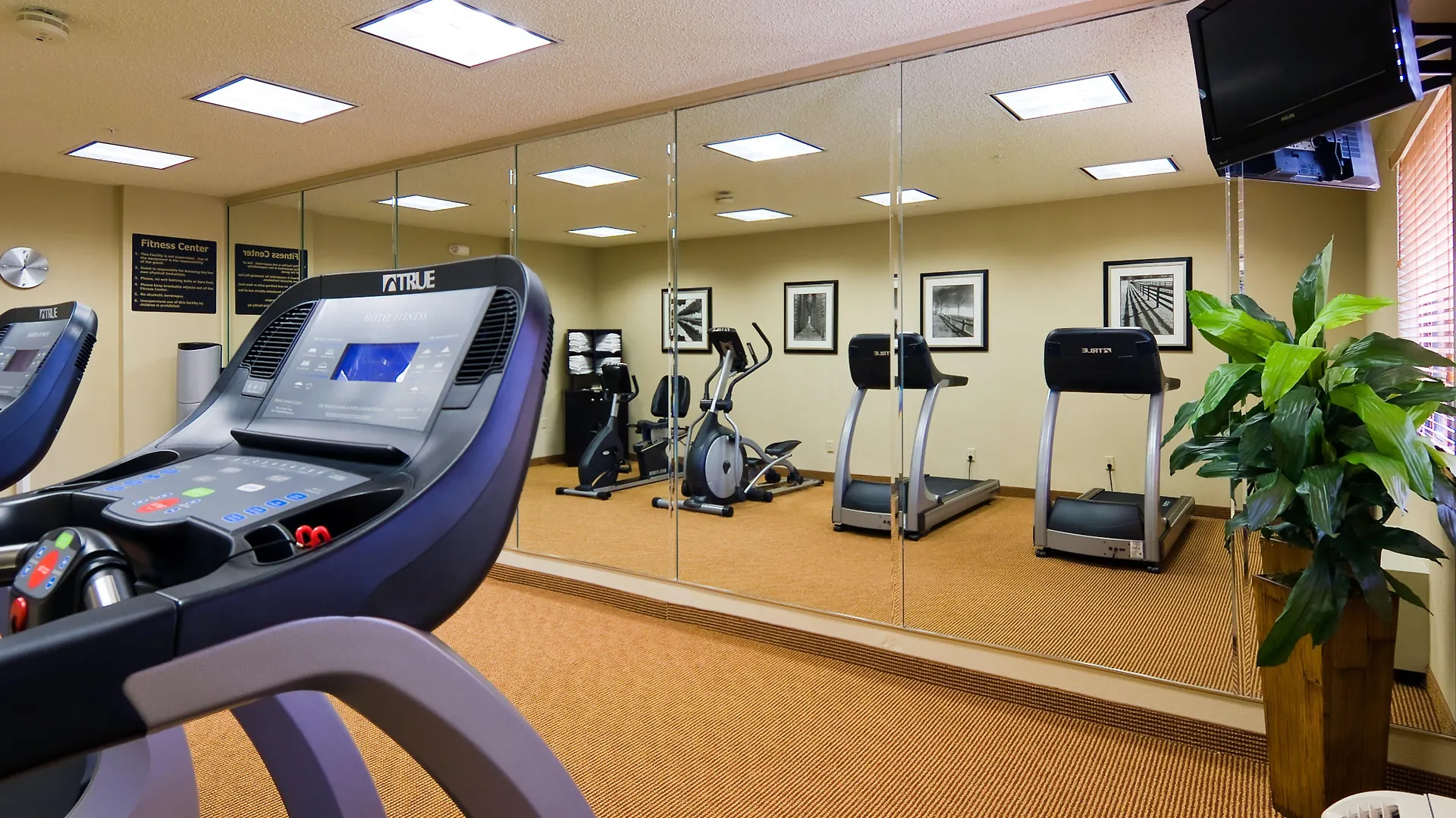 Express & East-miami By Ihg Hotel 2*