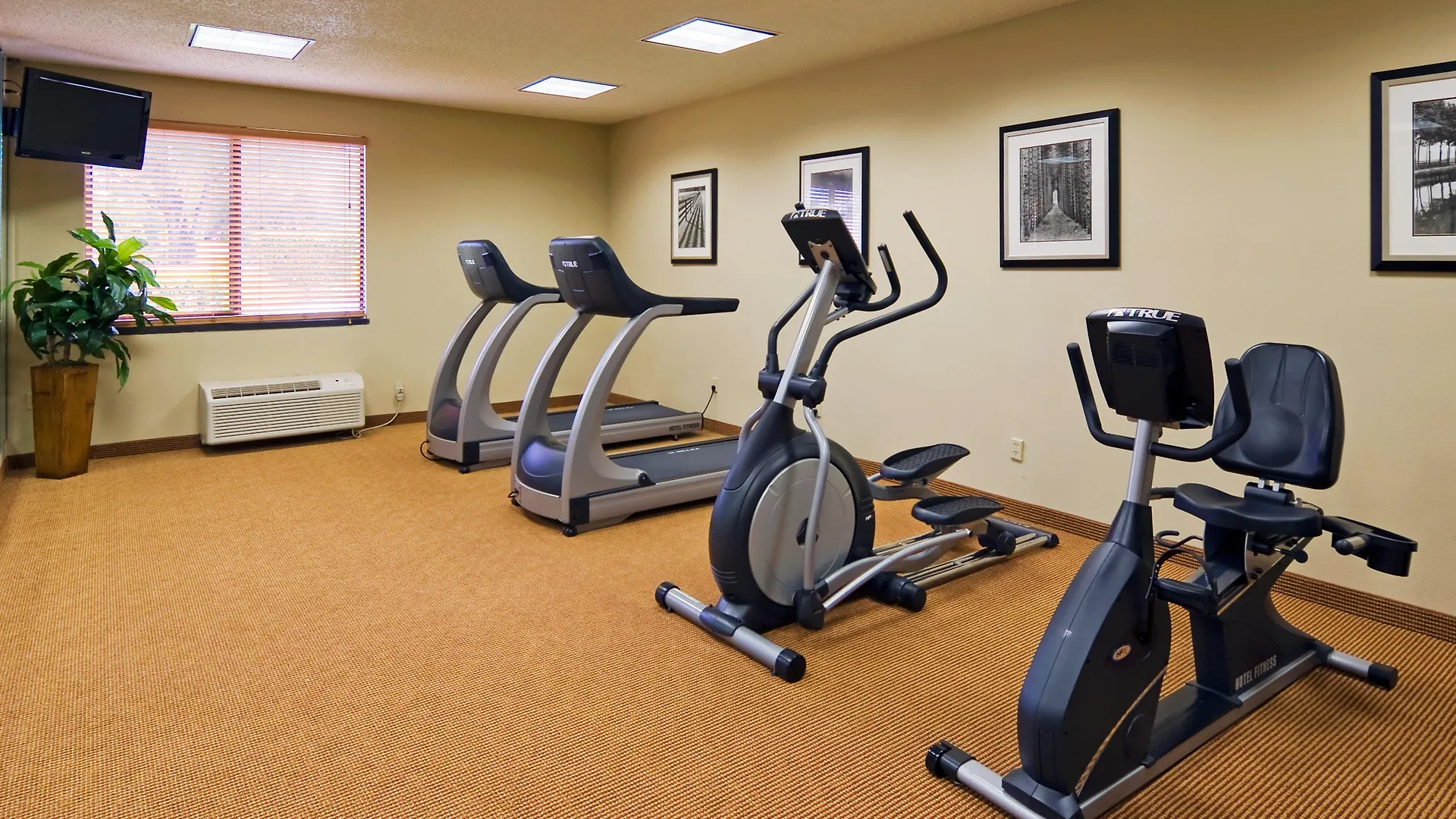 Express & East-miami By Ihg Kendall