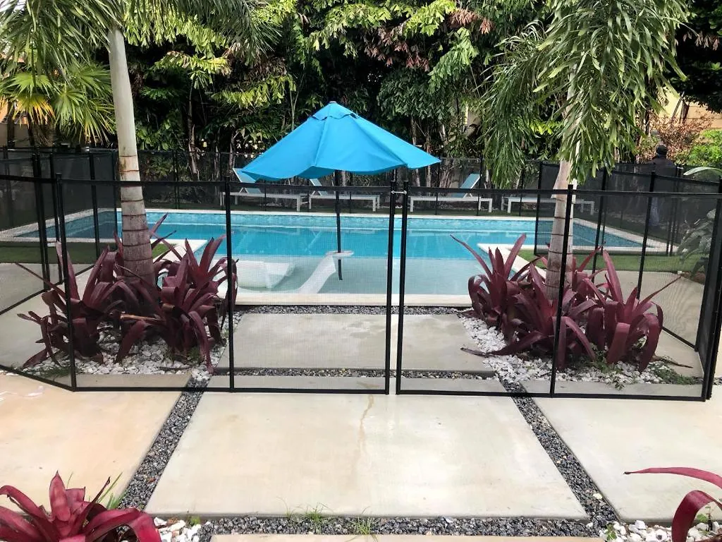 Unique Flagler's Mansion Pickleball Court L37 ヴィラ