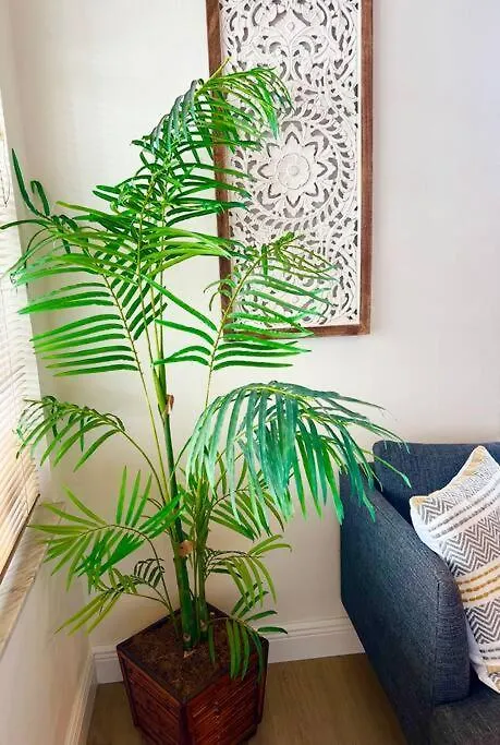 Lush Tropical Big Close To Airport, Calle 8, Coral Gables And Lots Amenities *