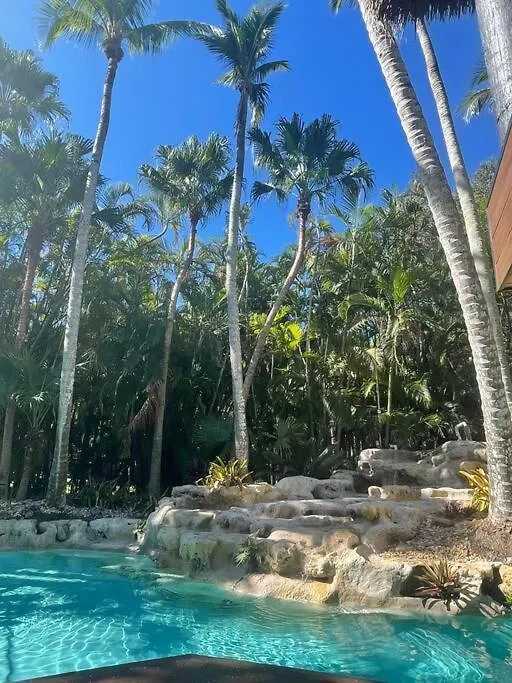 Tropical Oasis 迈阿密