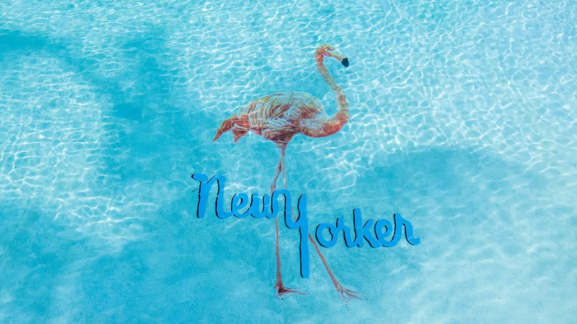 The New Yorker Miami