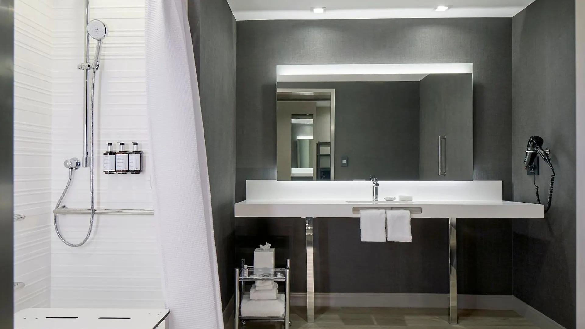 Hotel Ac Wynwood Miami