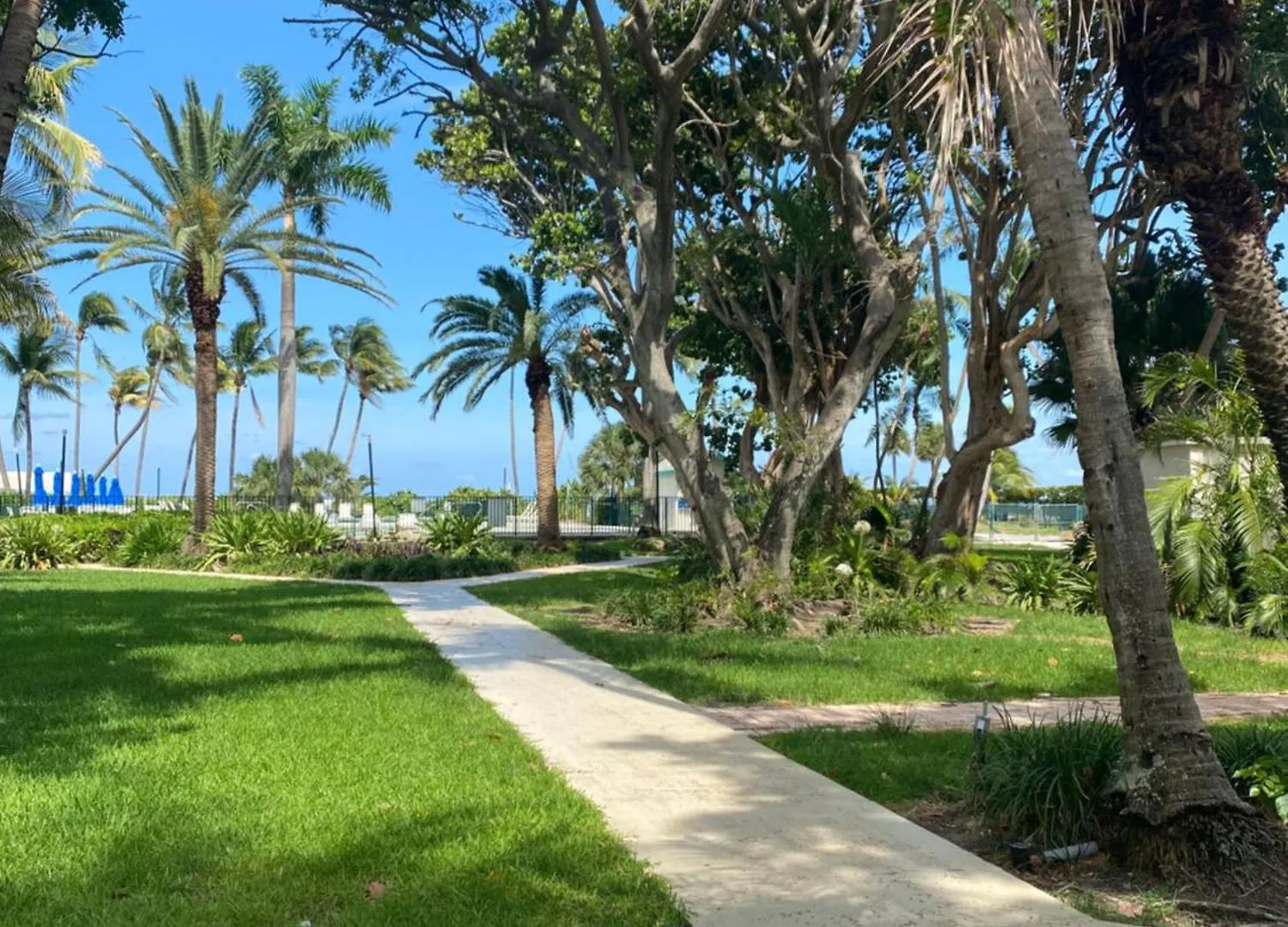Silver Sands Hotel Key Biscayne