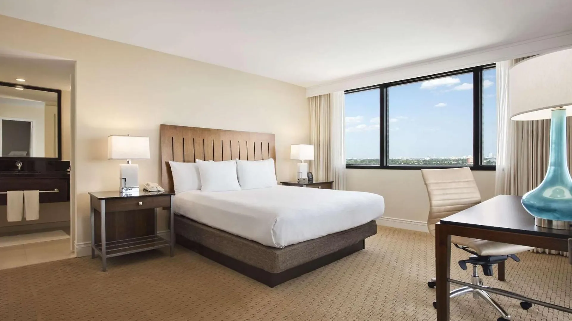 Hilton Airport Blue Lagoon Miami