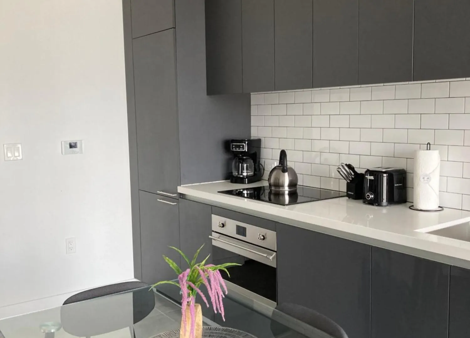 Apartment Brand New Modern 1 Bedroom Unit Downtown
