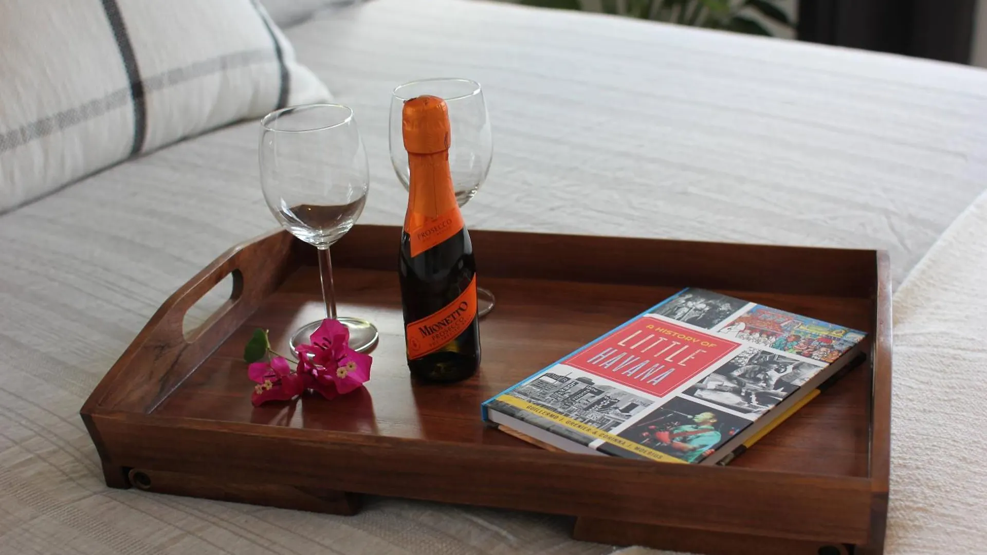 Casa Cuba In Little Havana, Brickell, Calle 8 And 10 Minutes To The Free Parking *