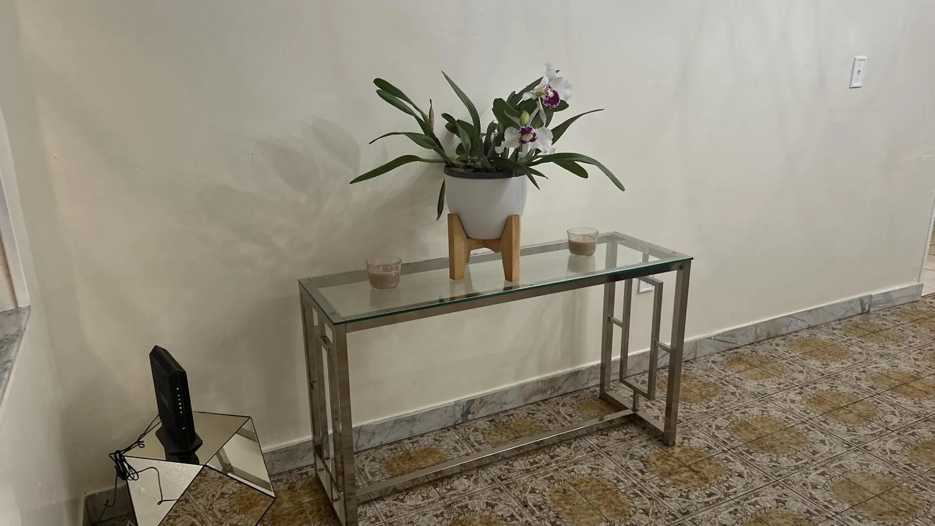 Tropical Oasis Homestay Miami