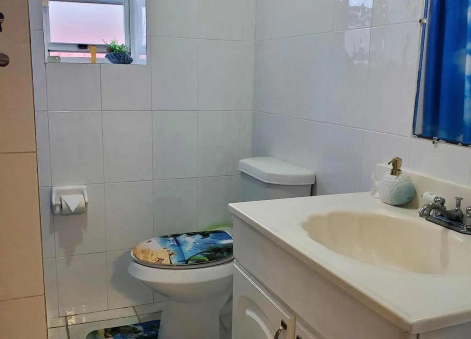 Coco Sol 2 By Mymiamistay Homestay