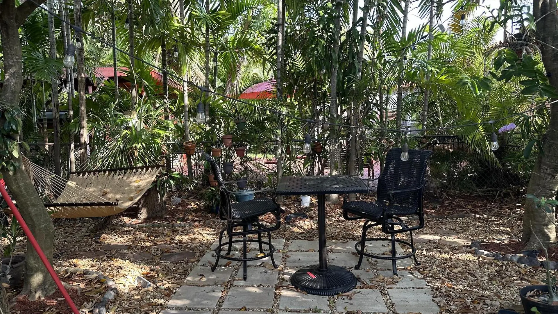 Tropical Oasis Miami