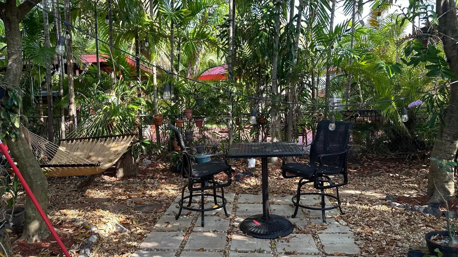 Tropical Oasis Homestay