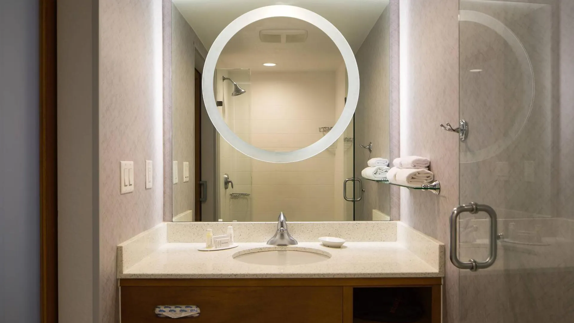 Springhill Downtown/medical Center Hotel Miami