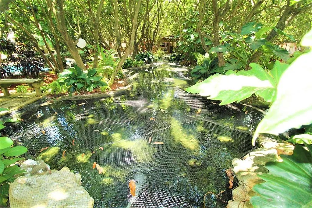 Magical Wonderkoi House In A Japanese Koi Garden Vakantiehuis Miami