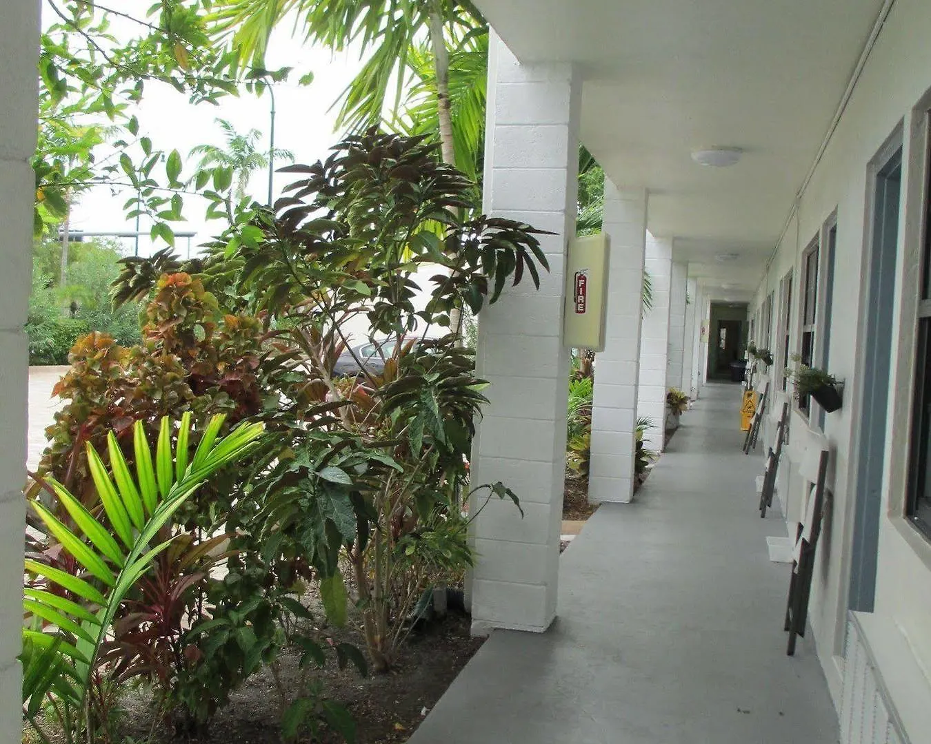 Motel Shalimar Miami