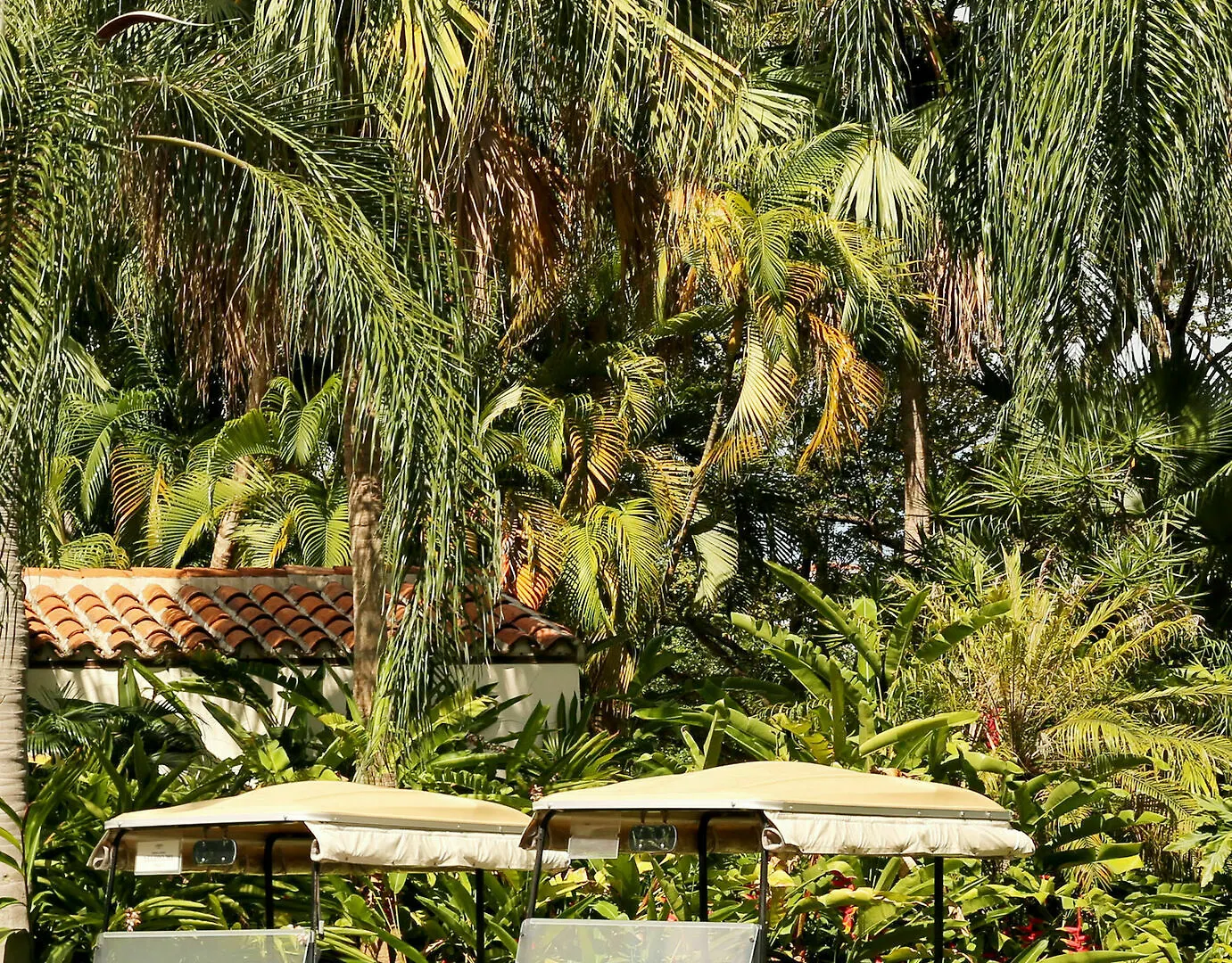 Resort Fisher Island Club And Miami Beach