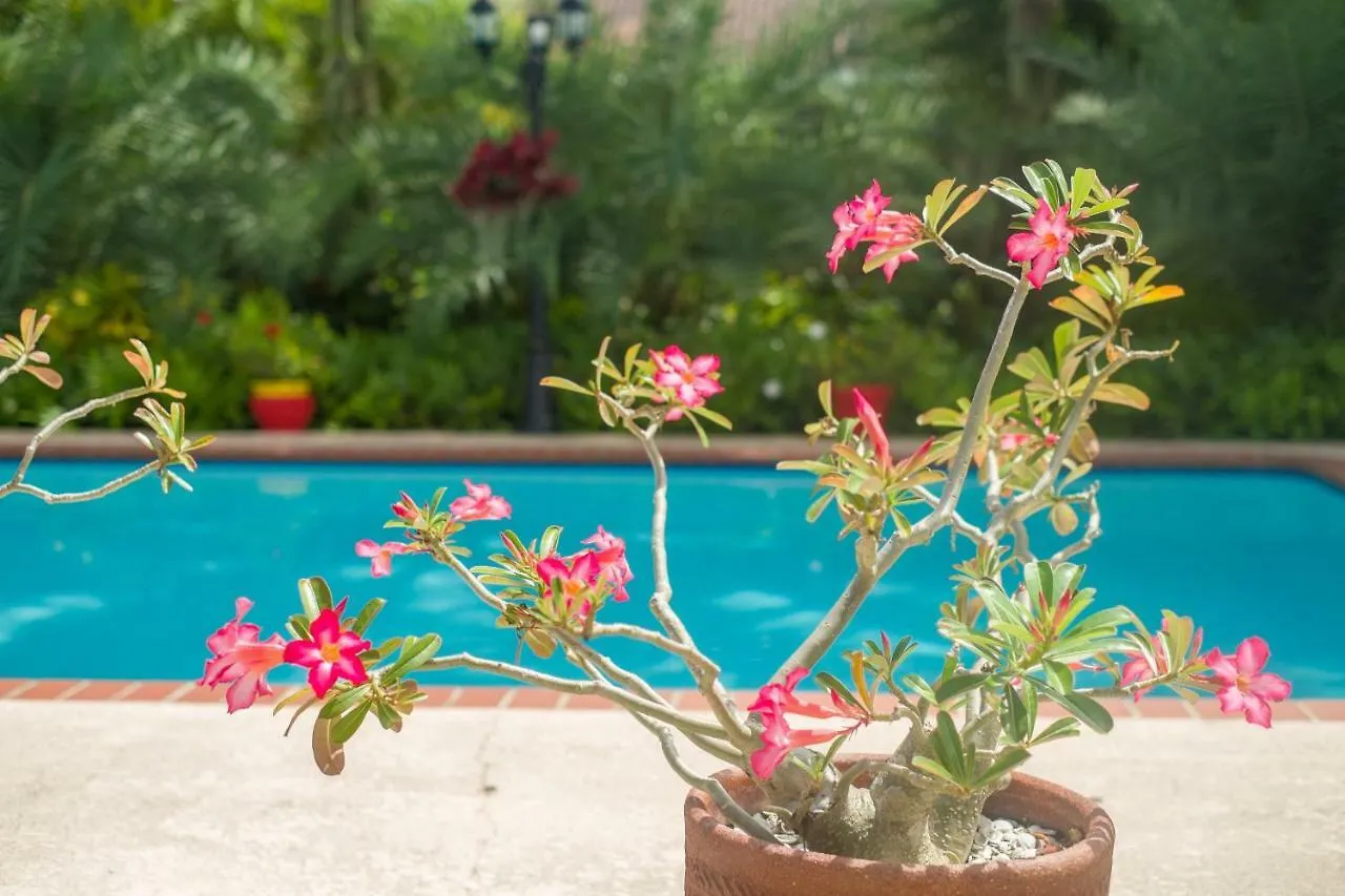 Yuli's Homestay Miami