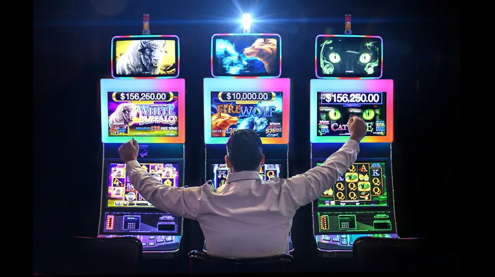 Resort Miccosukee Casino & (adults Only)